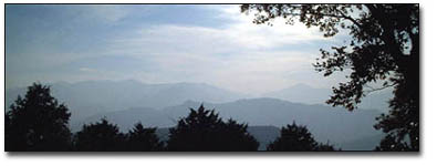 Mt. Takao Pic 14KB