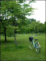 bike on the park pic