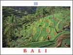 bali pic